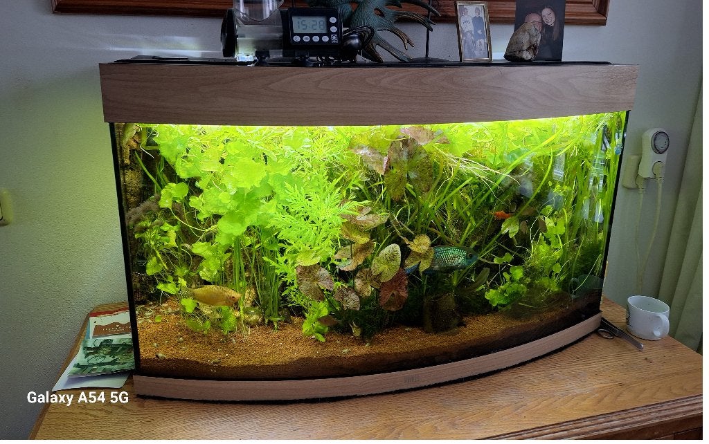 aqurium, Ophalen, Verwarming, Leeg aquarium, Nederland