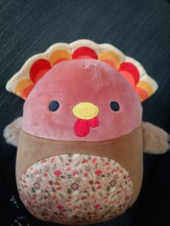 squishmallow kalkoen ong 25 cm, Ophalen of Verzenden, Overige typen