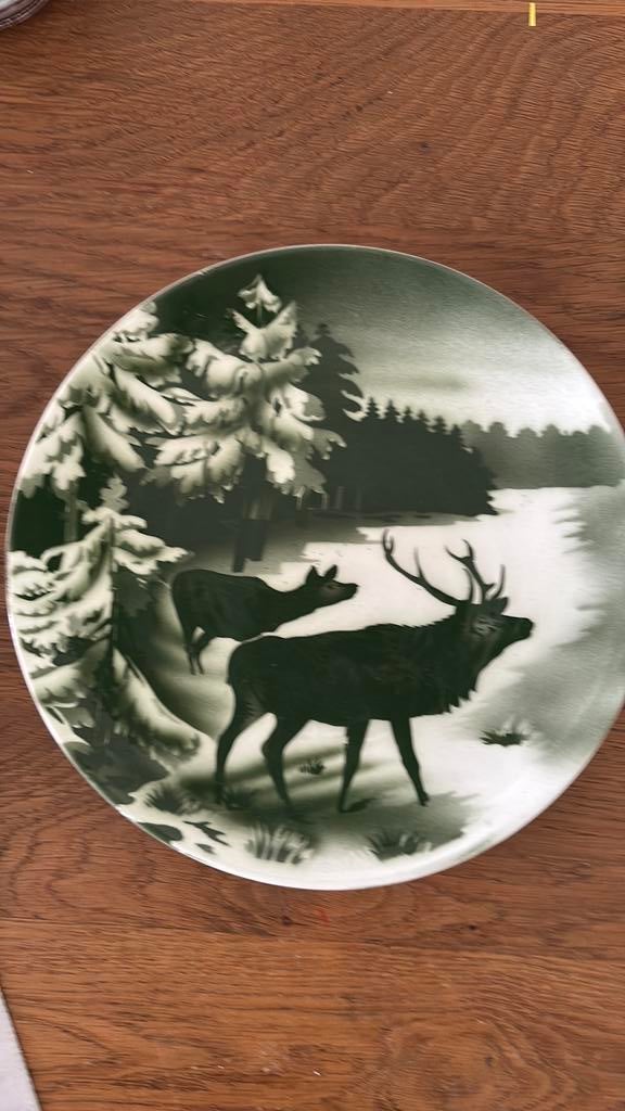 Vintage decoratief bord Villeroy & Boch , 2554D, Ophalen of Verzenden