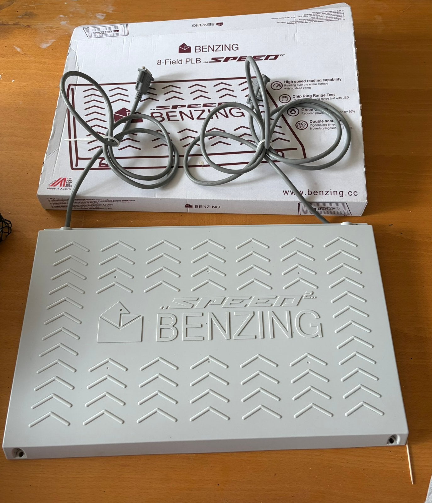 Benzing  speedanteene 8 velds, Dieren en Toebehoren, Mannelijk, Postduif