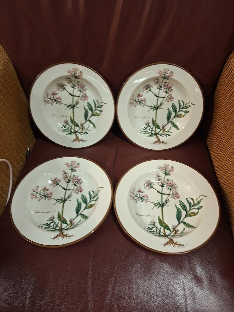 Diepe borden Botanica villeroy en boch, Ophalen of Verzenden