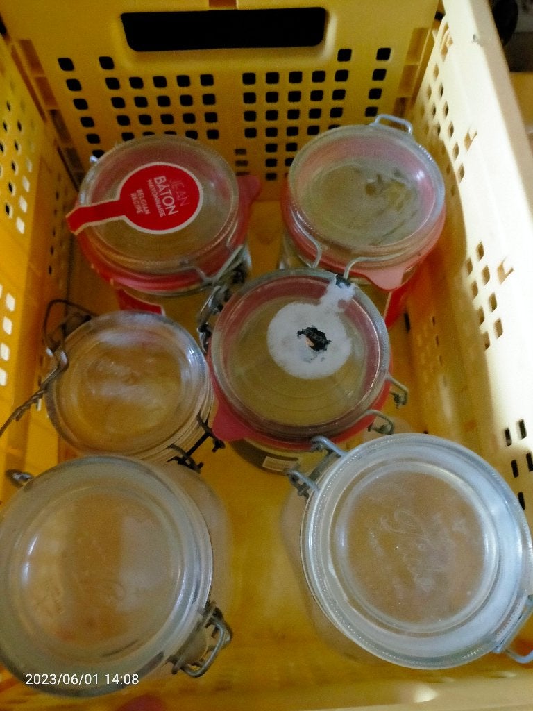 div (wek)potten, Ophalen, Glas, Pot, Bus of Blik