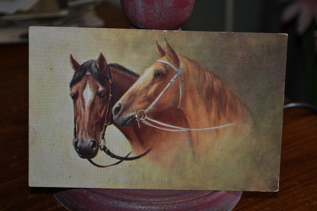 LOT 3 KAARTEN PAARD HONDEN, Ophalen of Verzenden, Voor 1920, Ongelopen, Sterren en Beroemdheden