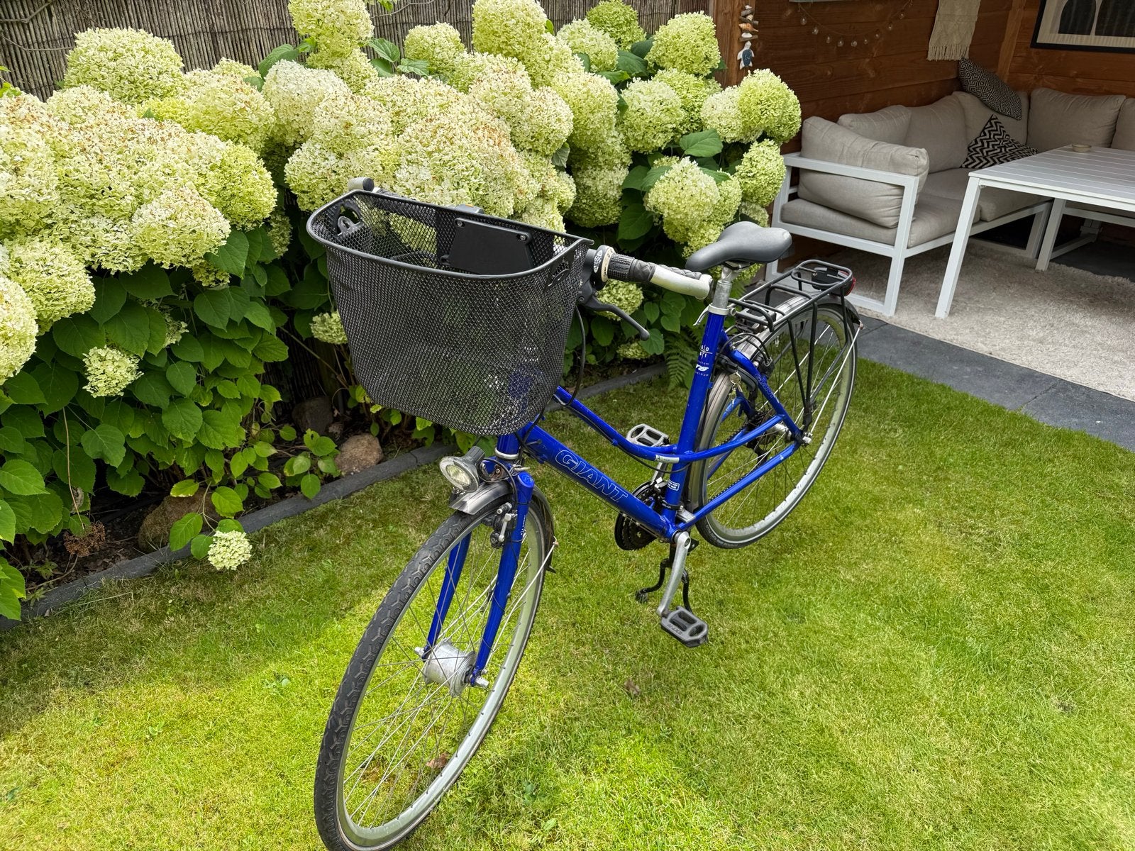 Giant Damesfiets - Blauw, met mand en versnellingen, Ophalen, Gebruikt, Velgrem, Versnellingen