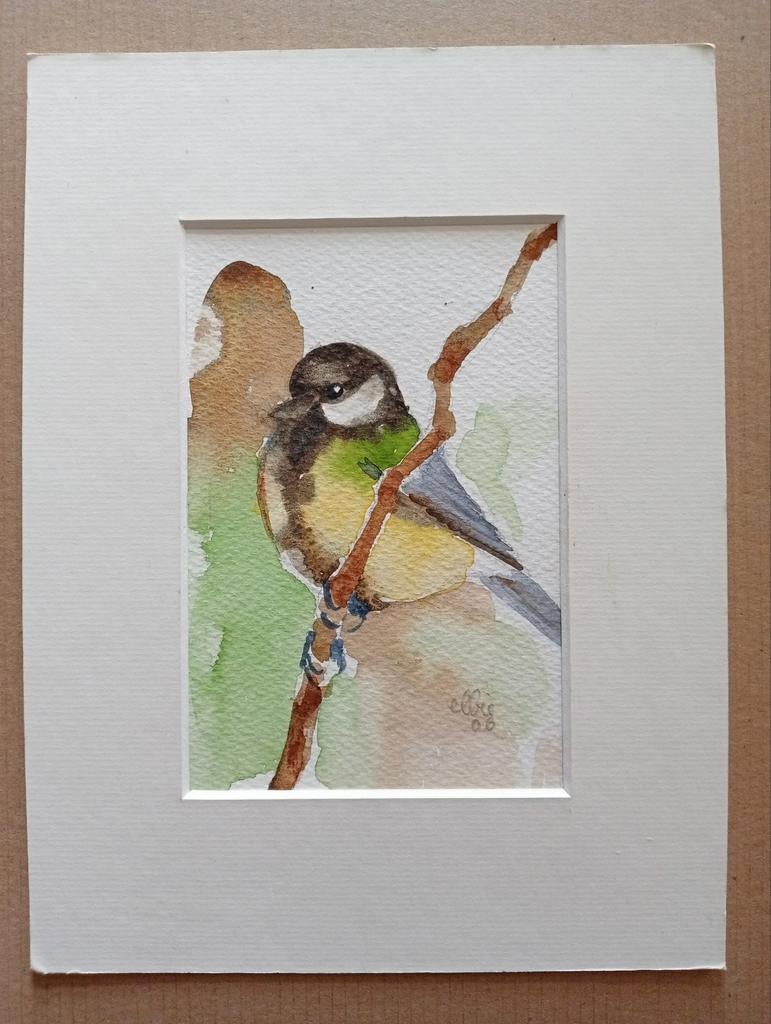 Aquarel Koolmees, Ophalen of Verzenden