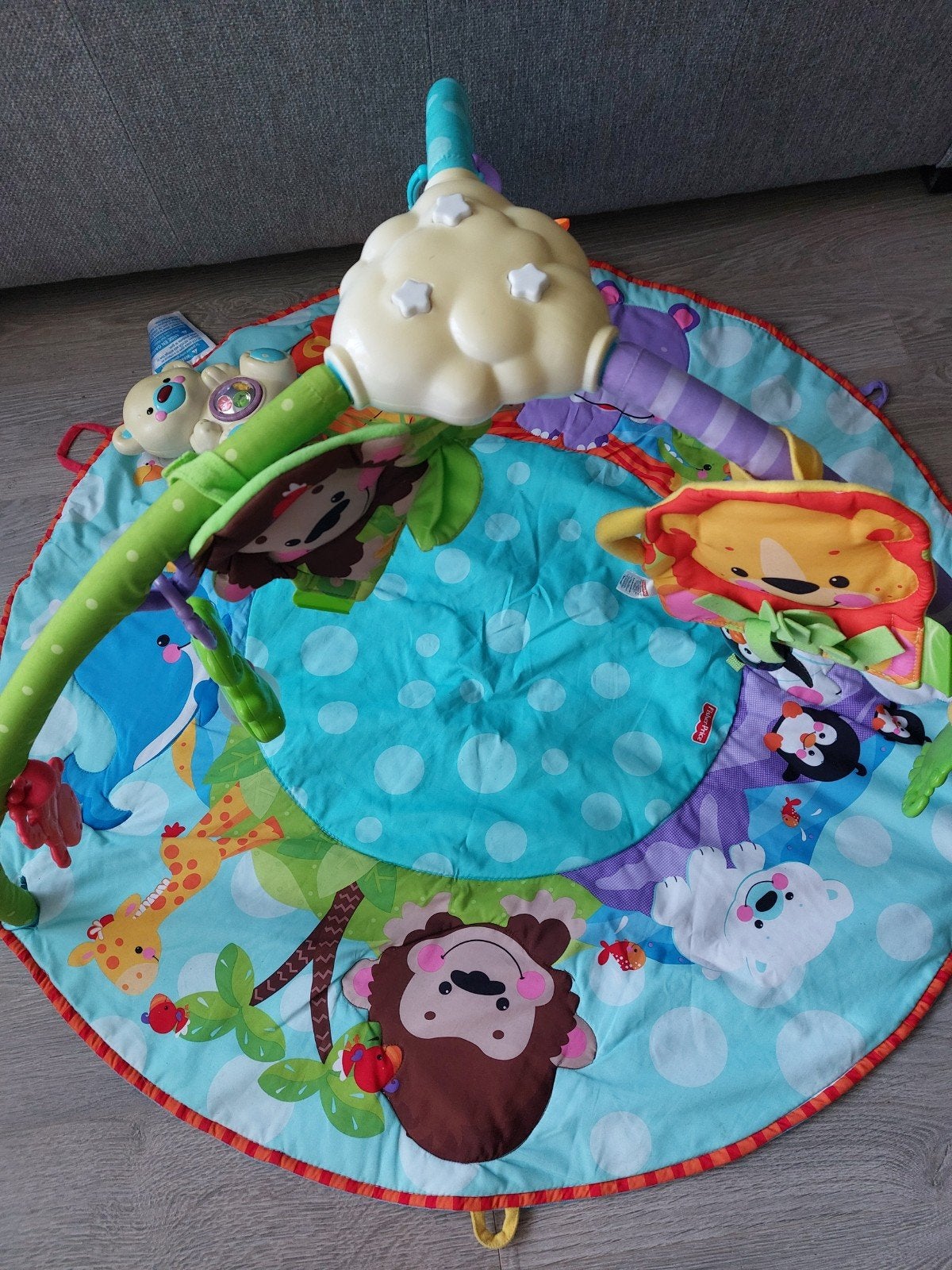 Fisher-Price Speelkleed, Kinderen en Baby's, Speelgoed | Fisher-Price, Ophalen