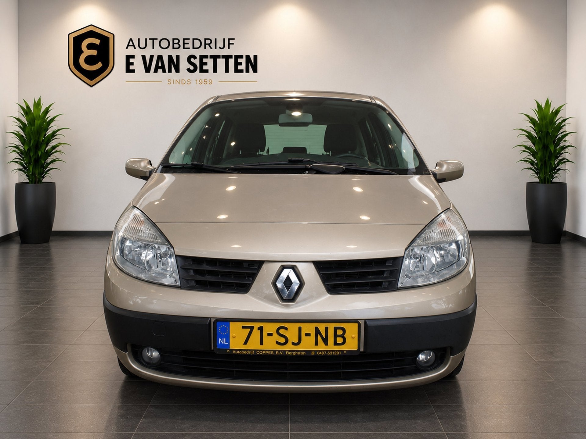 Renault Scénic 1.6-16V Dynamique Comfort 1e Eigenaar, Gebruikt, Bedrijf, Euro 4, 1598 cc