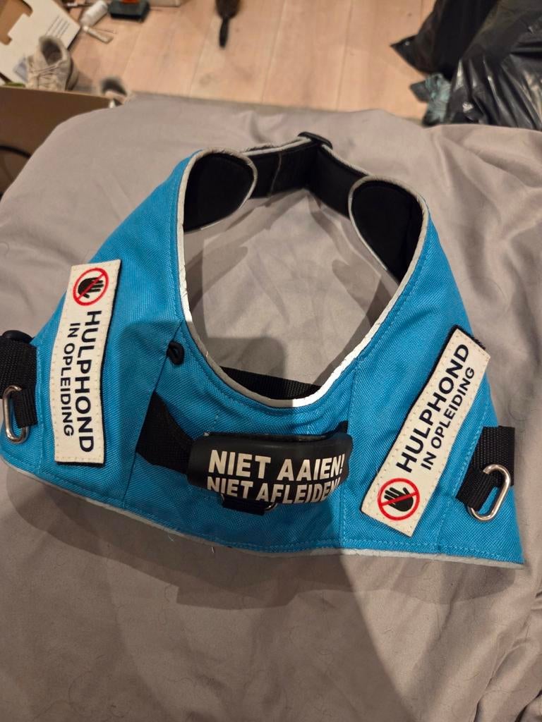 Hulp/ honden tuigen, Dieren en Toebehoren, Ophalen of Verzenden, Nieuw