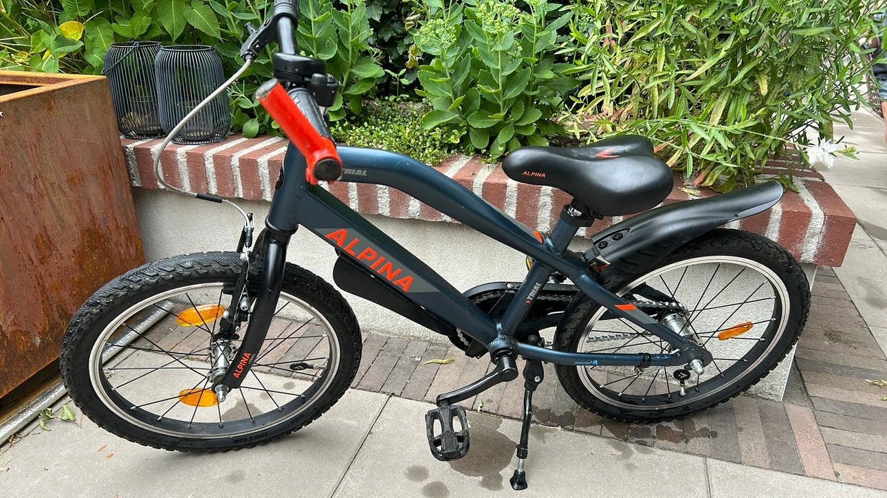 18 inch Alpina Trial fiets, Ophalen, Zo goed als nieuw, 16 tot 20 inch