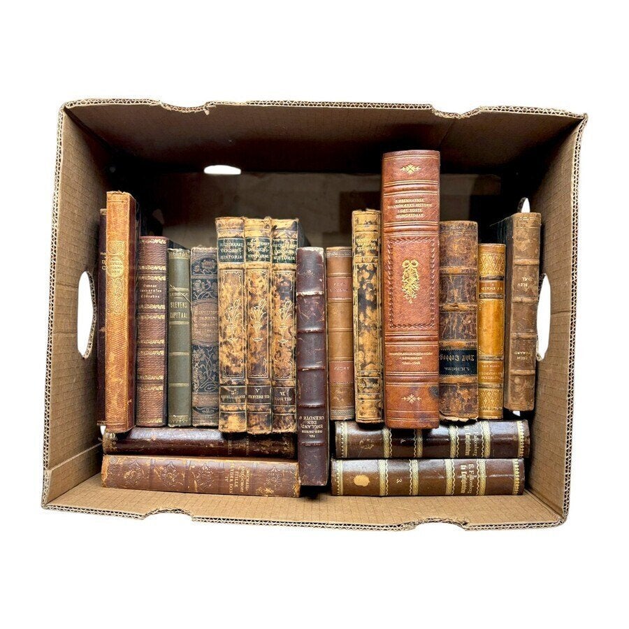 Doos antieke boeken, Antiek en Kunst, Antiek | Boeken en Bijbels, Ophalen of Verzenden