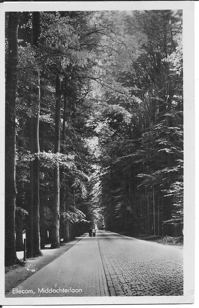 Ansichtkaart Ellecom, Middachterlaan 1949, Verzamelen, Ophalen of Verzenden, 1940 tot 1960, Gelopen
