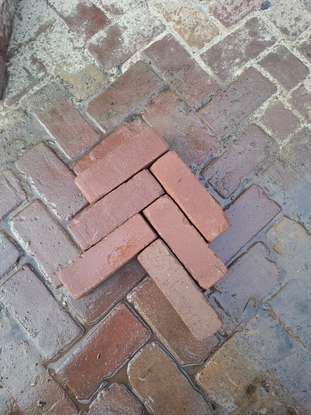 20m² gebakken dikformaat, gebruikt, op pallet, Ophalen of Verzenden, Beton, Terrastegels