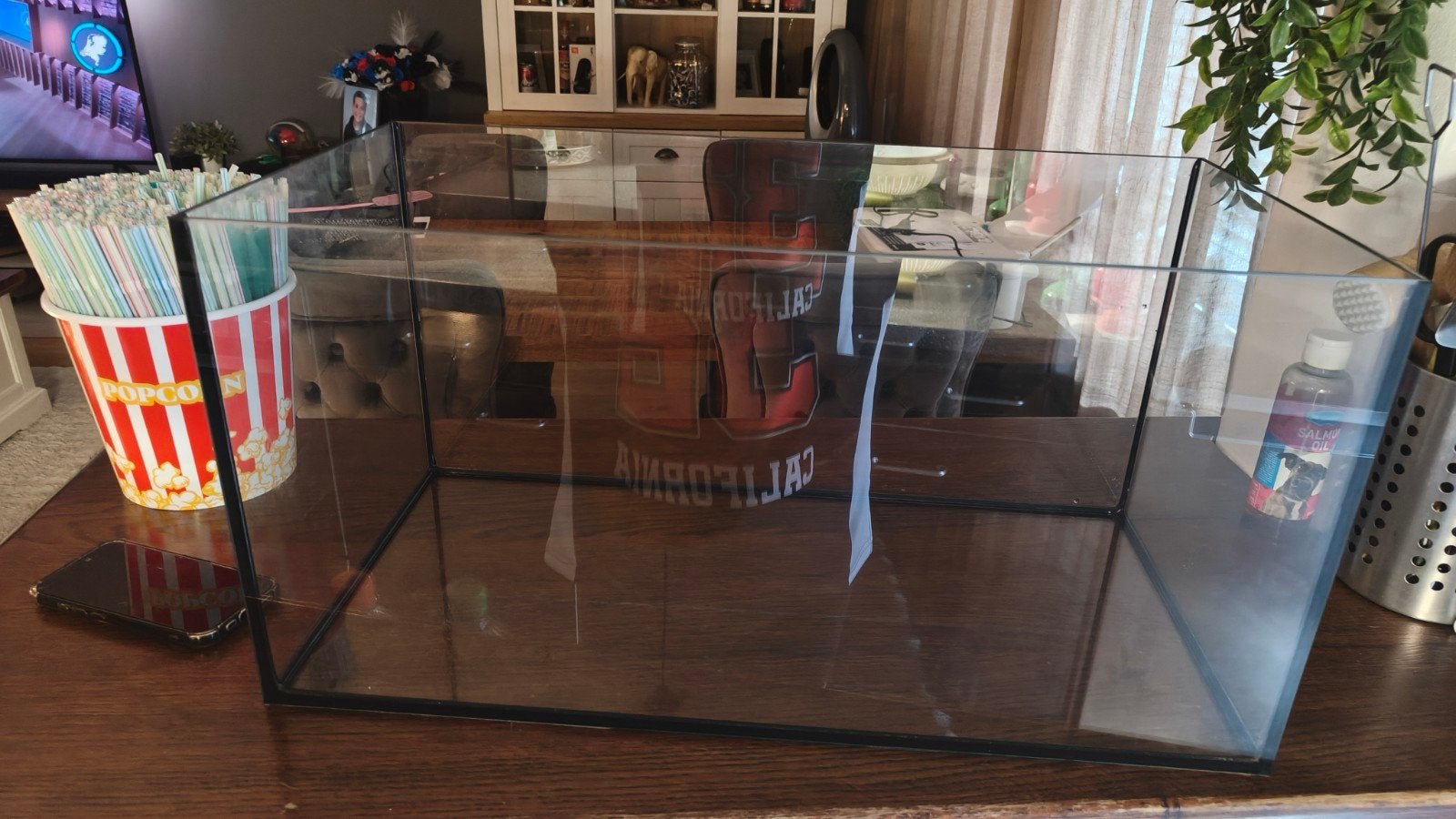 aquarium met alle toebehoren, Ophalen, Zo goed als nieuw, Decoratie