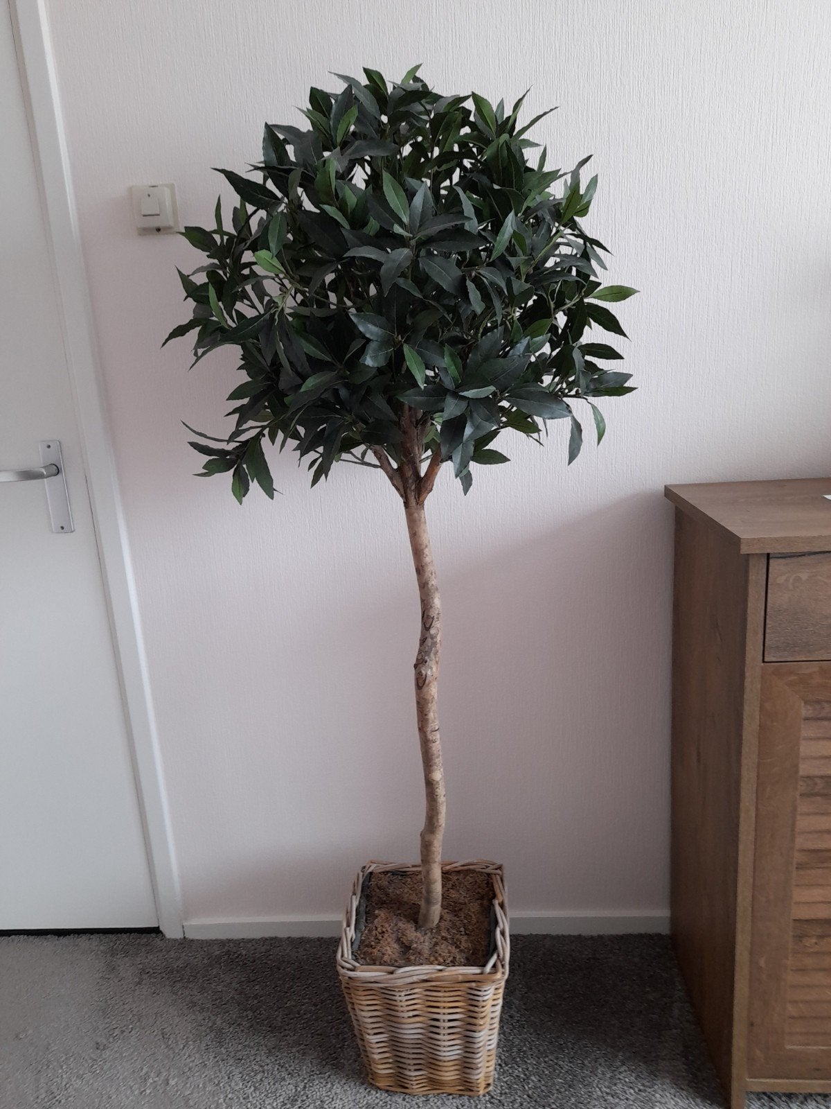 Kunst Olijfboom 160 cm hoog met Rieten pot, Ophalen, Gebruikt, 160 cm, Kunstplant