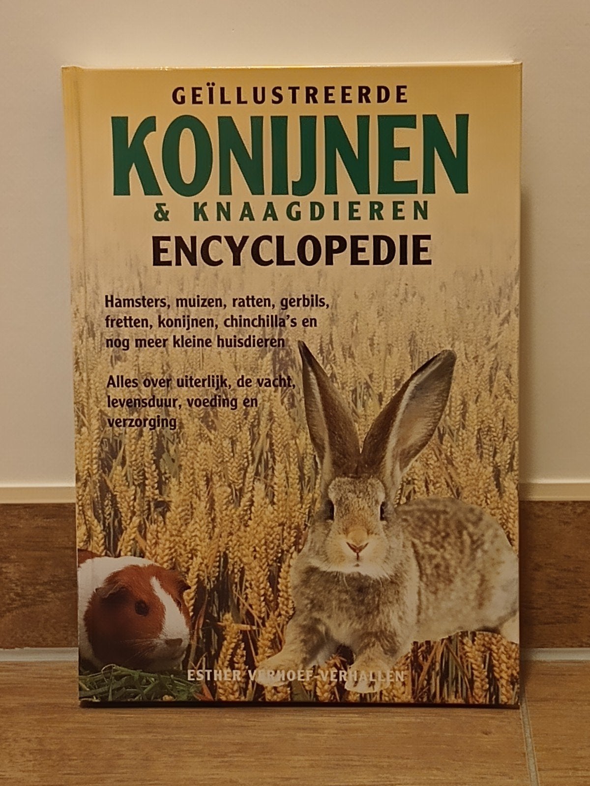 Konijnen en knaagdieren encyclopedie (Esther Verhoef), Boeken, Ophalen of Verzenden, Zo goed als nieuw, Dieren, Esther Verhoef-Verhallen