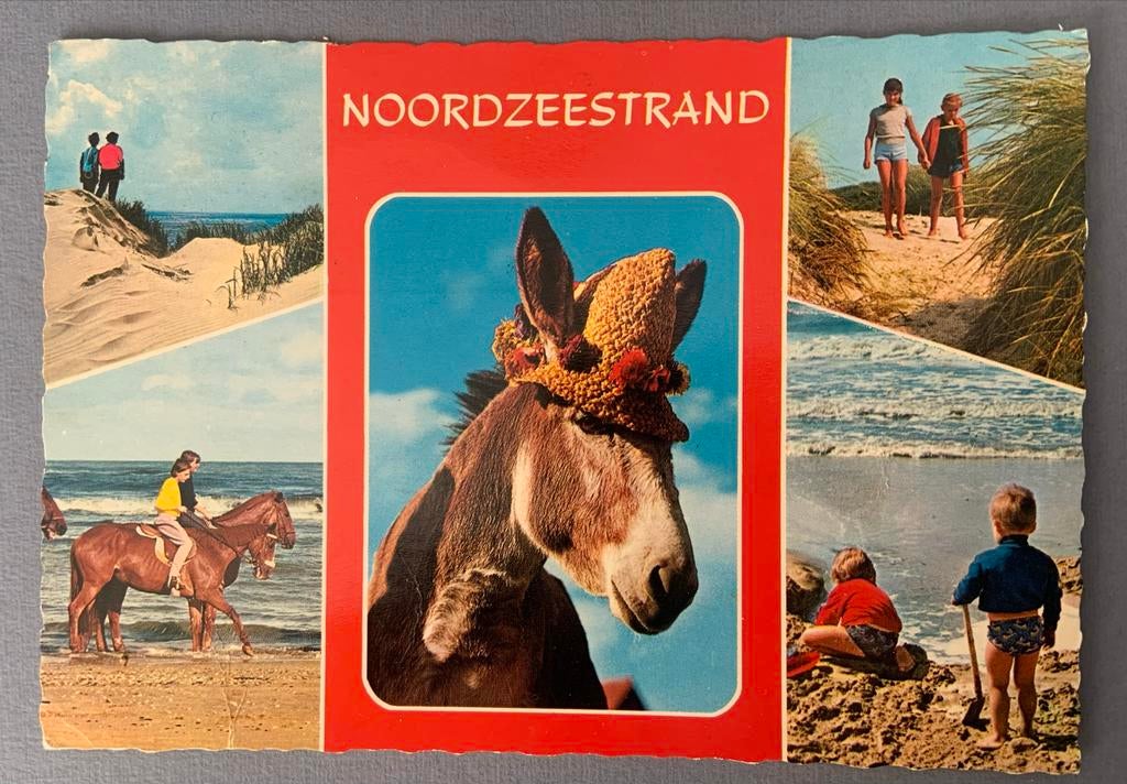 Groeten van Schiermonnikoog, Ophalen of Verzenden, 1960 tot 1980, Gelopen, Waddeneilanden