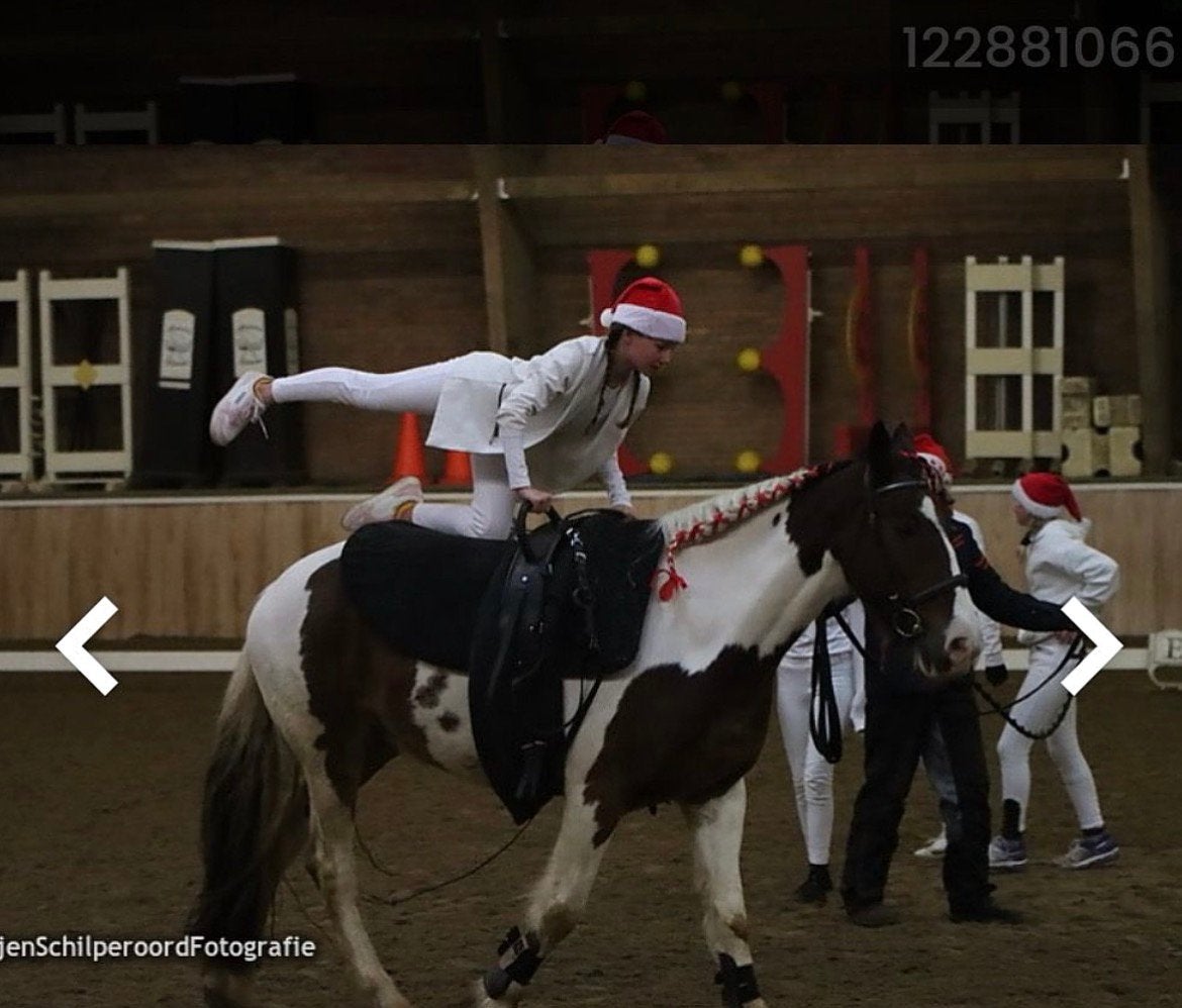 Stukje land gezocht of kleinschallig plekje, Dieren en Toebehoren, Stalling en Weidegang, Weidegang, 1 paard of pony