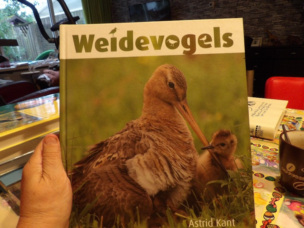 Weidevogels van Astrid Kant, Ophalen of Verzenden, Nieuw, Vogels