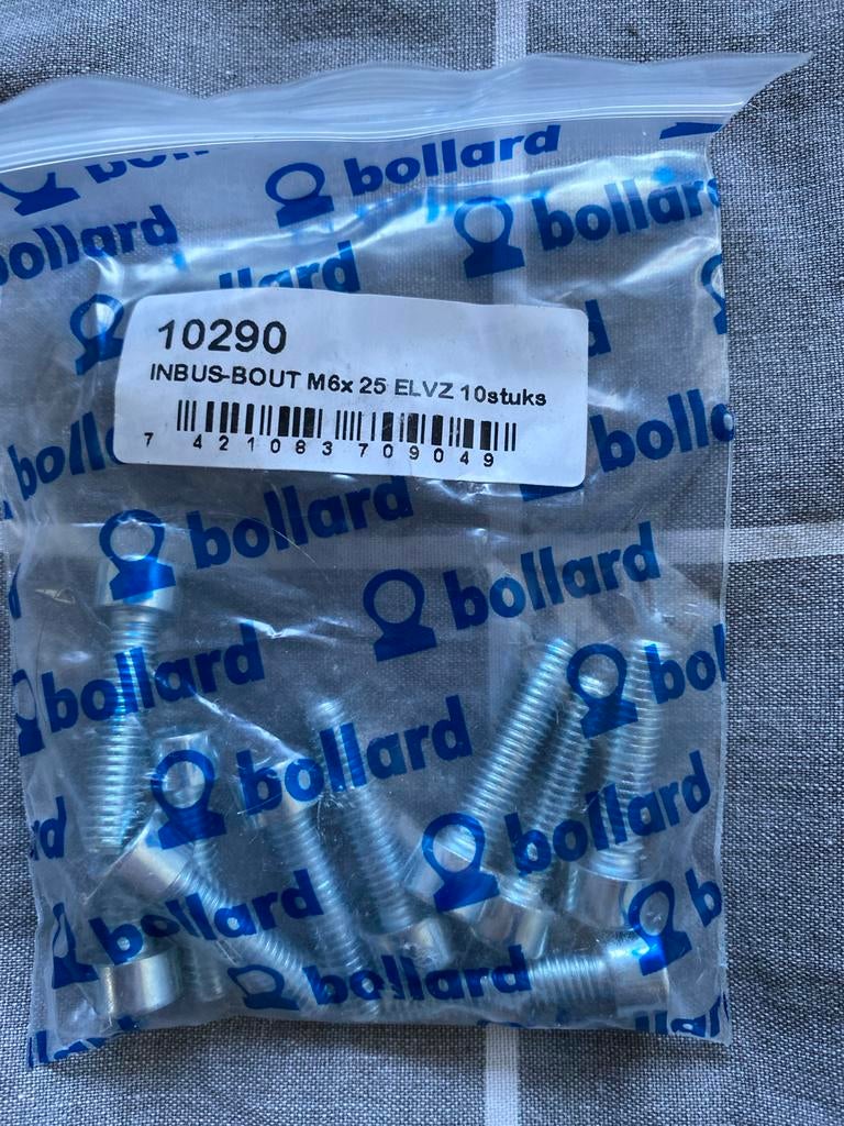 Bollard Inbusbouten M6x25 ELVZ (10 stuks), Ophalen of Verzenden, Nieuw, Minder dan 50 mm, Bouten of Moeren