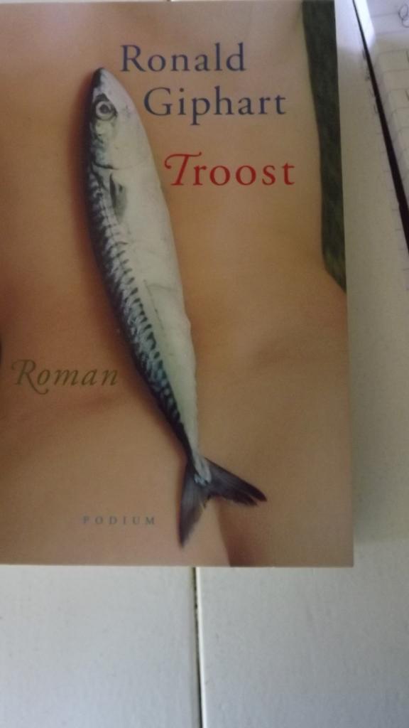 Troost. ( Ronald Giphart)., Ophalen of Verzenden, Zo goed als nieuw