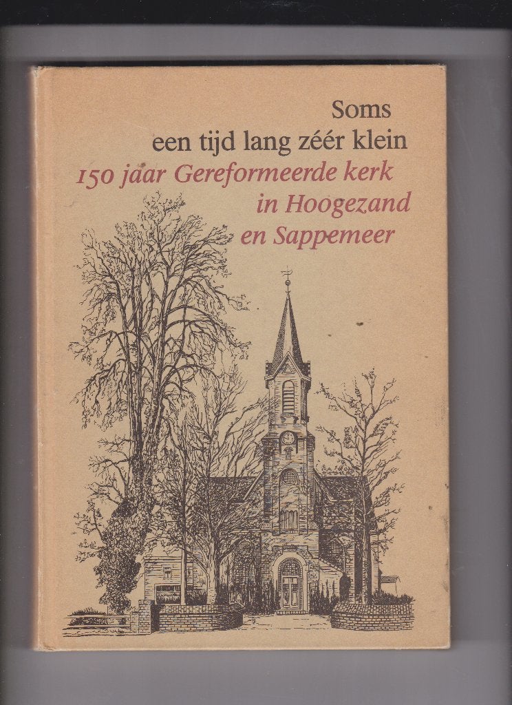 Hoogezand en Sappemeer, Boeken, Geschiedenis | Stad en Regio, Ophalen of Verzenden