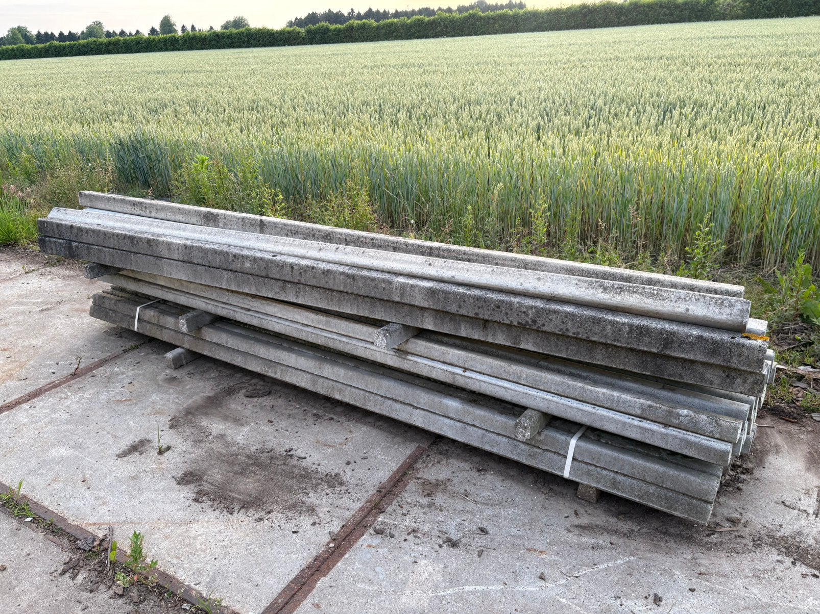 Betonpalen, Dieren en Toebehoren
