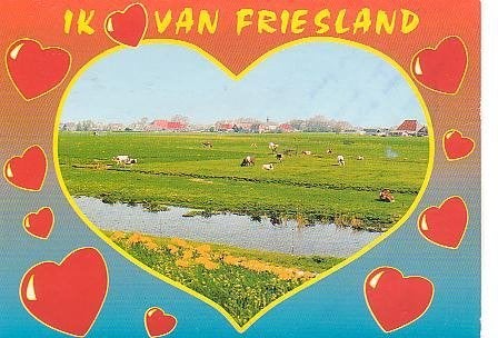 Ansichtkaart 	Friesland	Koeien 	in de wei, Verzenden, 1980 tot heden, Gelopen, Friesland