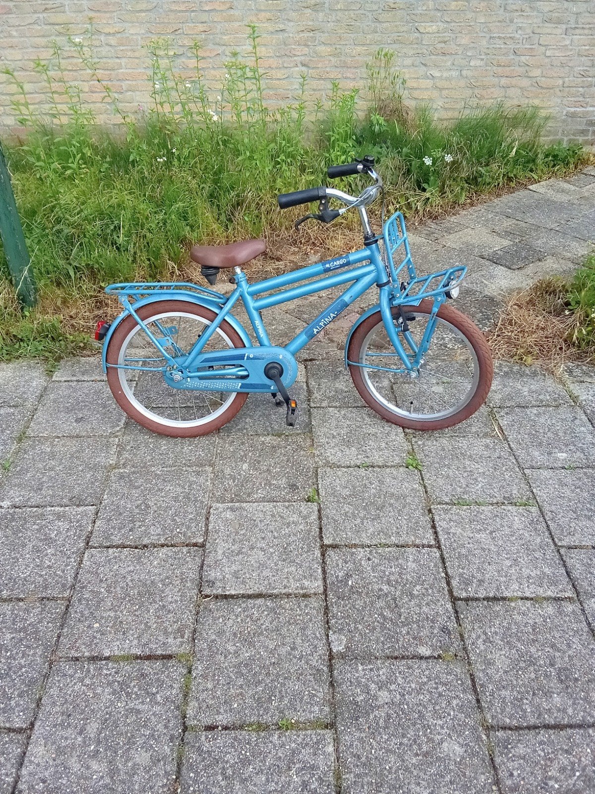 Stoere Alpina jongens Fietje met terugtraprem 18 inch, Ophalen, Gebruikt, 16 tot 20 inch