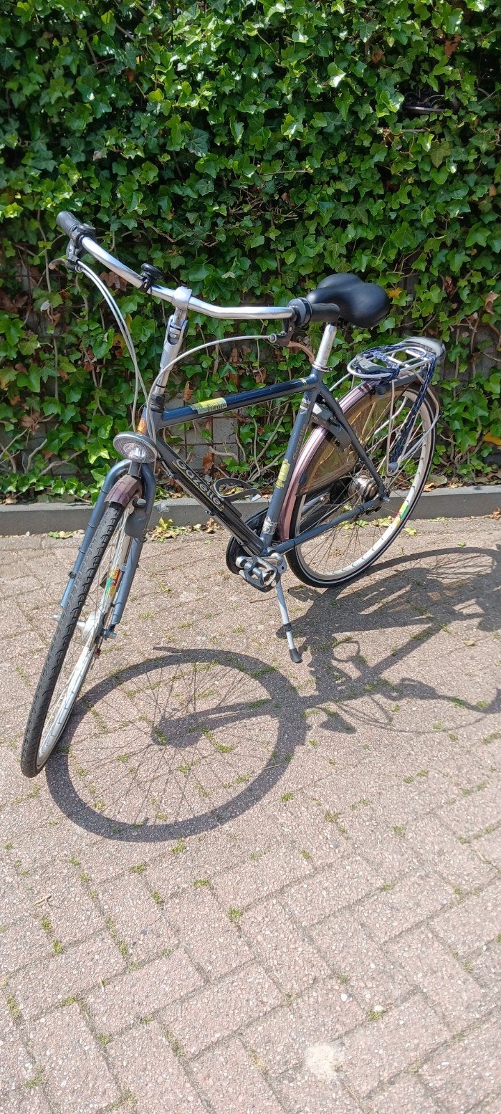Gazelle fiets met 7 versnellingen, Fietsen en Brommers, Fietsen | Dames | Damesfietsen, Ophalen, Velgrem, Versnellingen, Gazelle