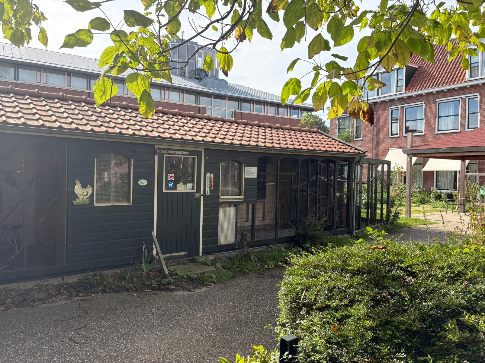 Voliere verzorger gezocht brielle, Meerdere dieren