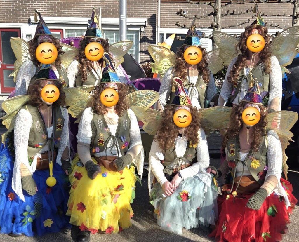 Loopgroep 'Ra(a)d van Elf(jes)', Ophalen, Carnaval, Maat 42/44 (L), Kleding