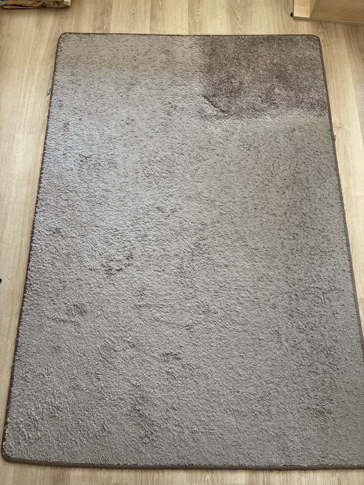 Bruin vloerkleed - Vandaag ophalen, Ophalen, Gebruikt, 100 tot 150 cm, Bruin