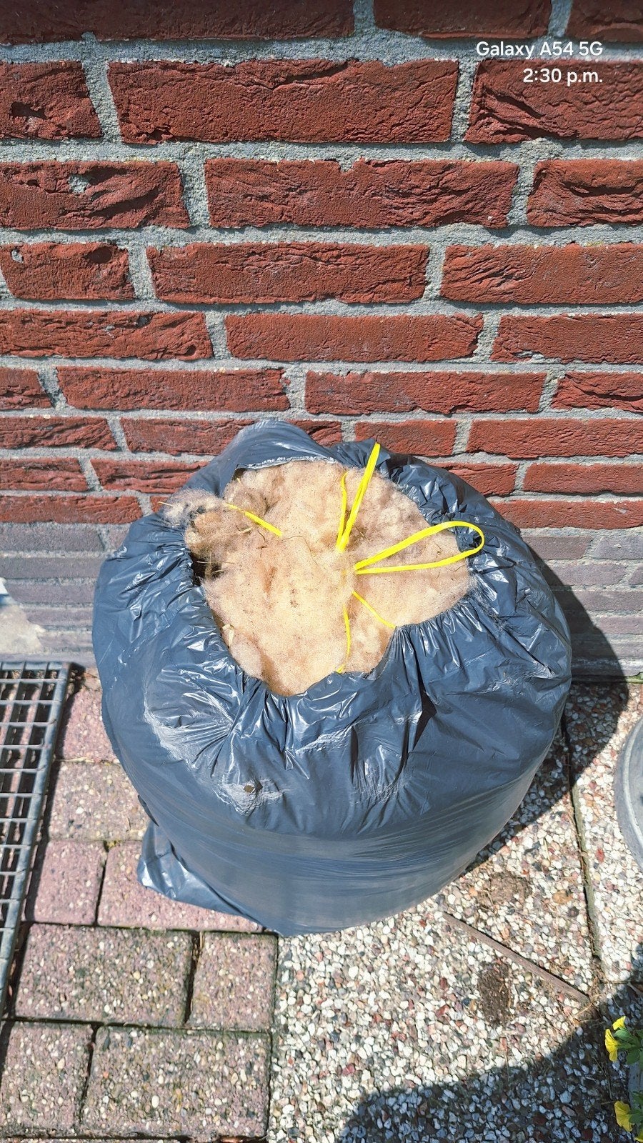 Zak schapenwol, Hobby en Vrije tijd, Ophalen of Verzenden, 200 cm of meer, 120 cm of meer