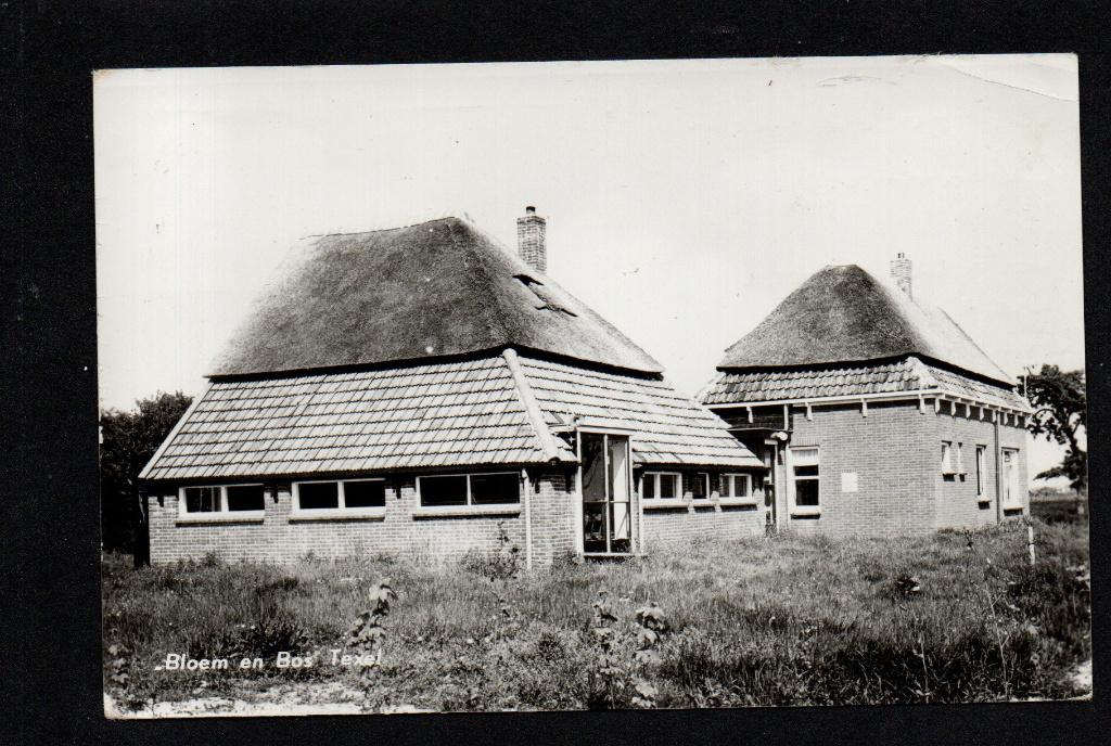 Texel, 1975. Bloem en Bos., Ophalen of Verzenden, 1960 tot 1980, Gelopen, Waddeneilanden