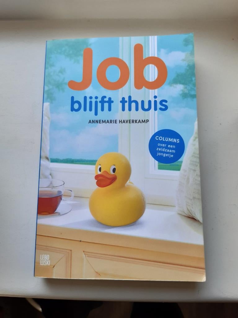 Annemarie Haverkamp - Job blijft thuis, Ophalen of Verzenden, Zo goed als nieuw, Annemarie Haverkamp