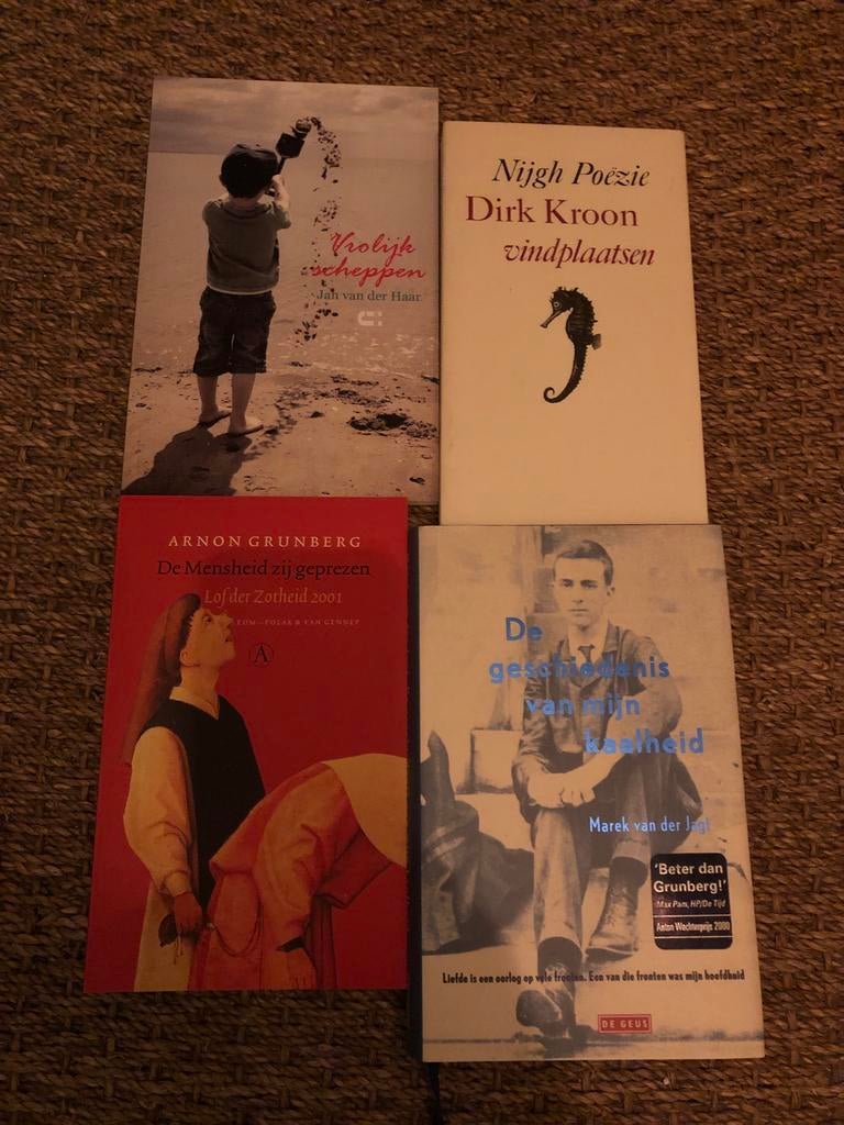 Diverse boeken: Poëzie, Roman, Literatuur, Ophalen of Verzenden, Gelezen, Nederland