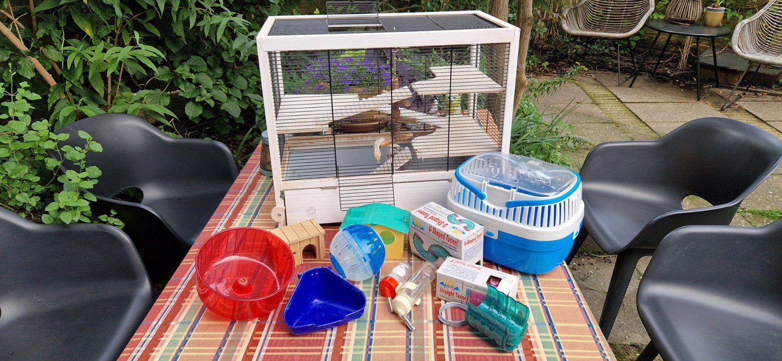 Hamsterkooi Hamsterville – Inclusief Accessoires & Reismand, Dieren en Toebehoren, Ophalen, Minder dan 75 cm, Kooi, Minder dan 60 cm