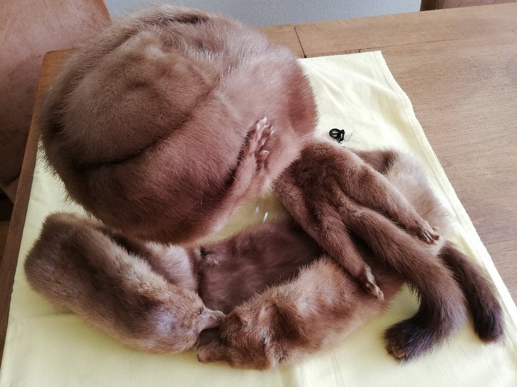 bontmuts + sjaal nerts, Ophalen of Verzenden, Gedragen, One size fits all