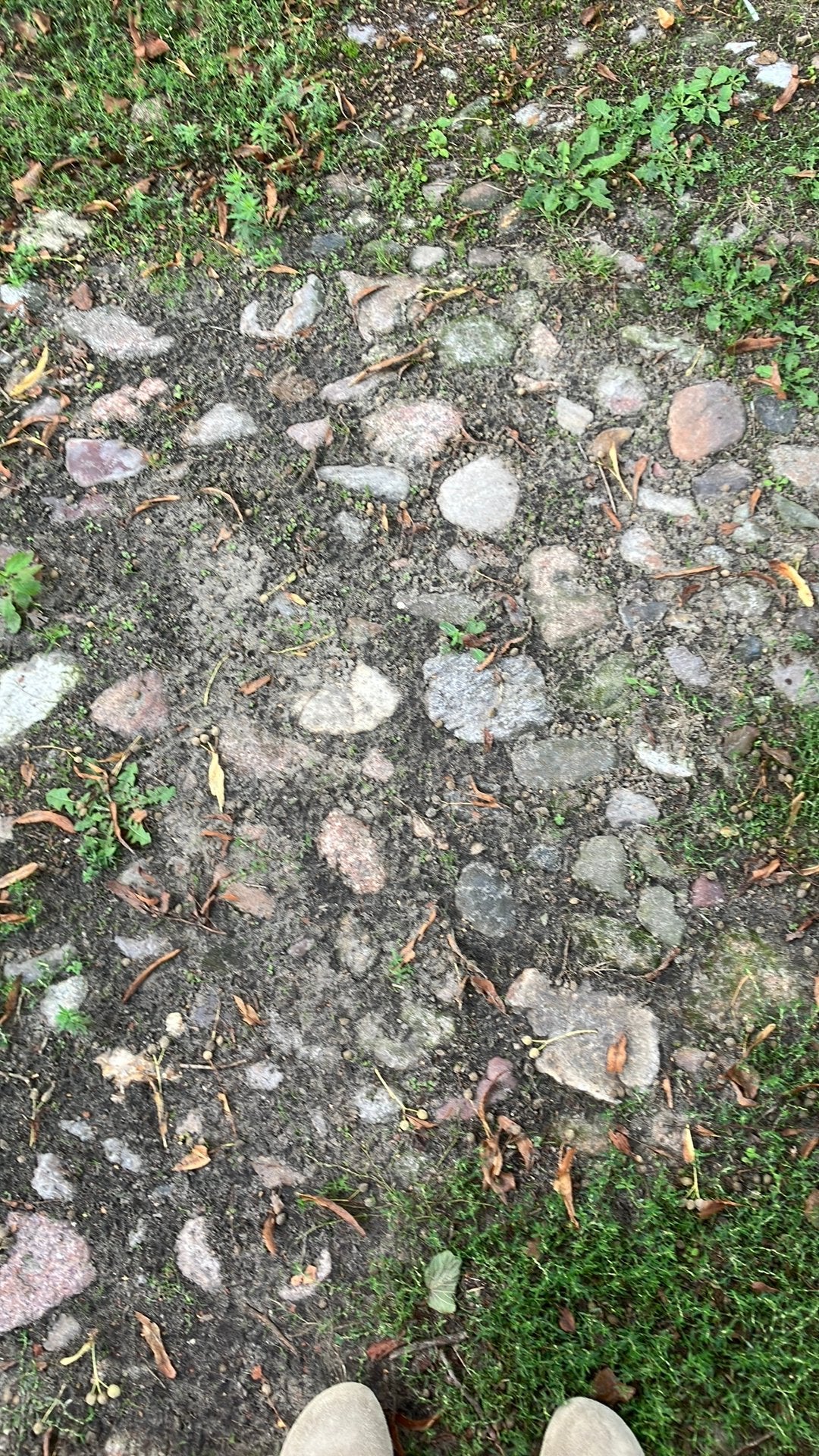Gratis + € 400 toe - Drentse keitjes (kinderkopjes), Ophalen, Gebruikt