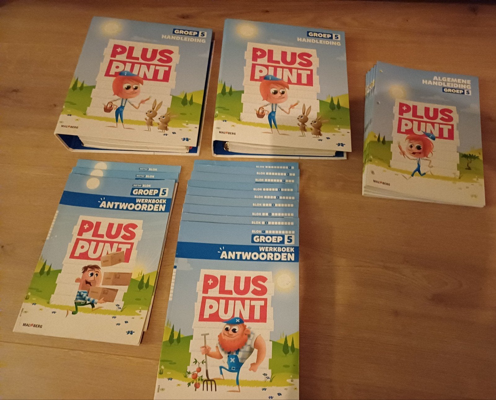 Pluspunt groep 5  handleidingen & antwoordenboeken, Ophalen of Verzenden, Zo goed als nieuw, Overige niveaus, Overige vakken