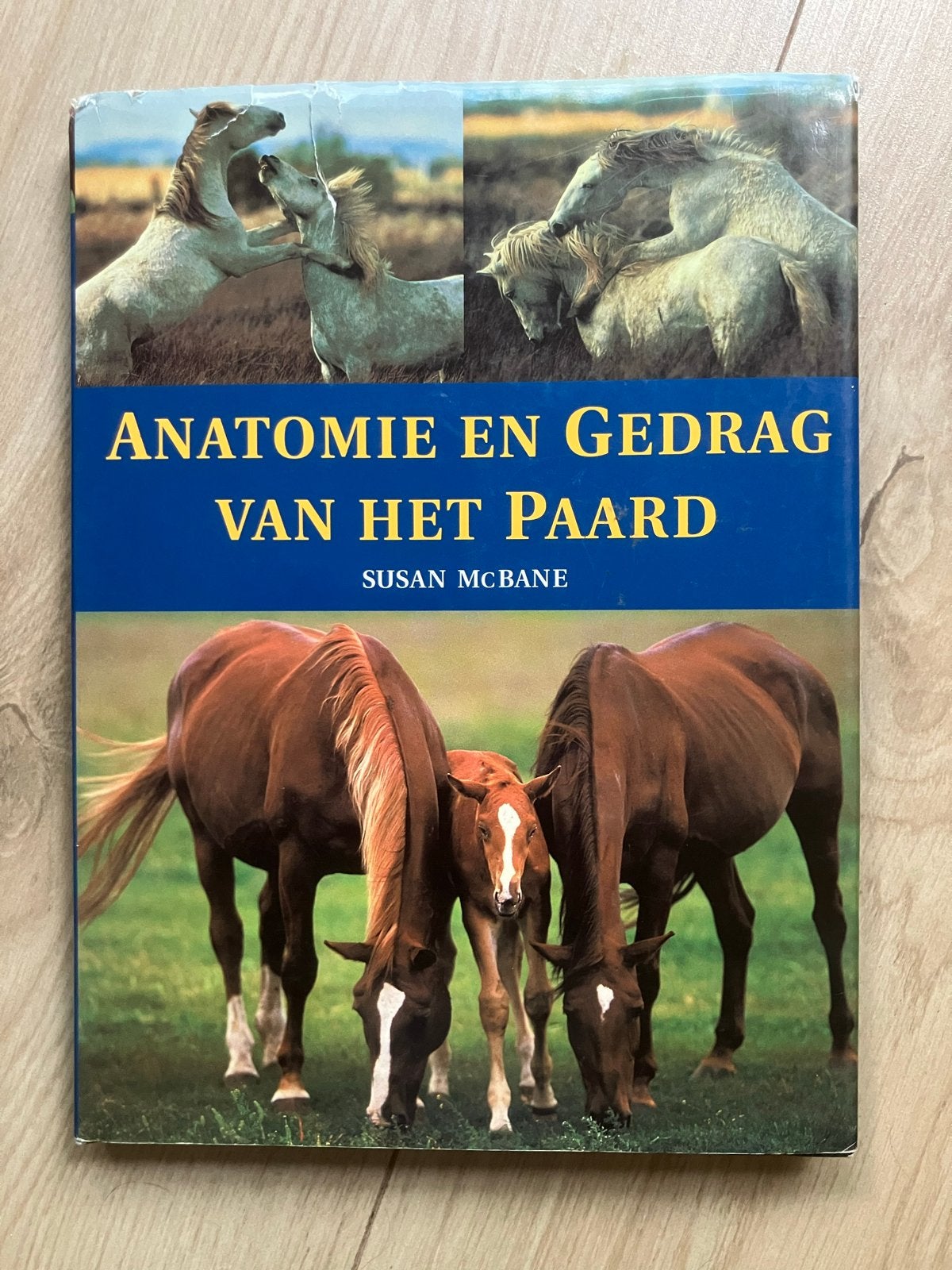 Anatomie en Gedrag van het Paard - Susan McBane, Ophalen of Verzenden, Gelezen, Paarden of Pony's