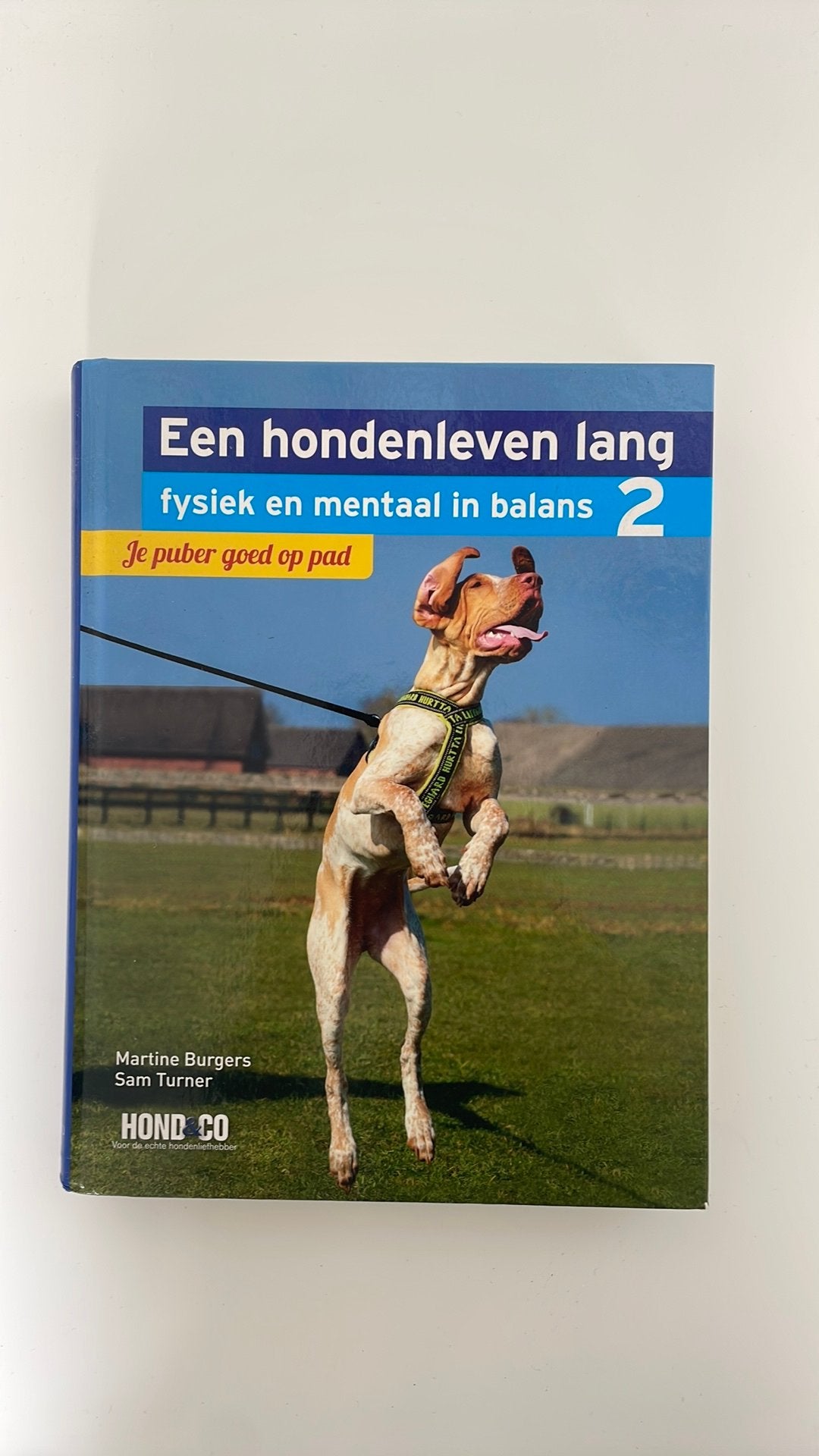 Sam Turner - Je puber goed op pad, Ophalen, Sam Turner; Martine Burgers, Honden, Zo goed als nieuw