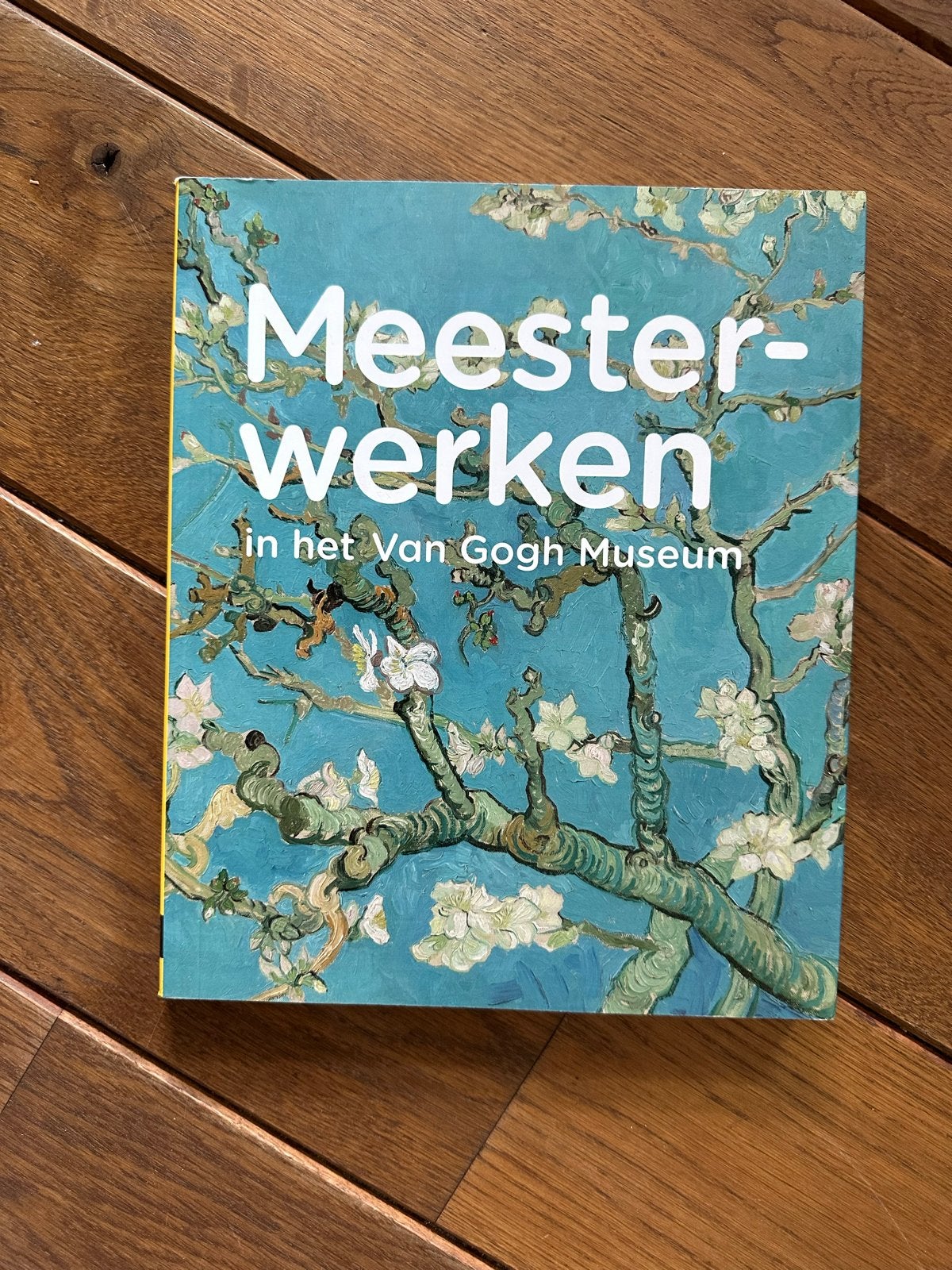 Meesterwerken in het Van Gogh Museum - Boek als nieuw, Ophalen of Verzenden, Zo goed als nieuw, Schilder- en Tekenkunst