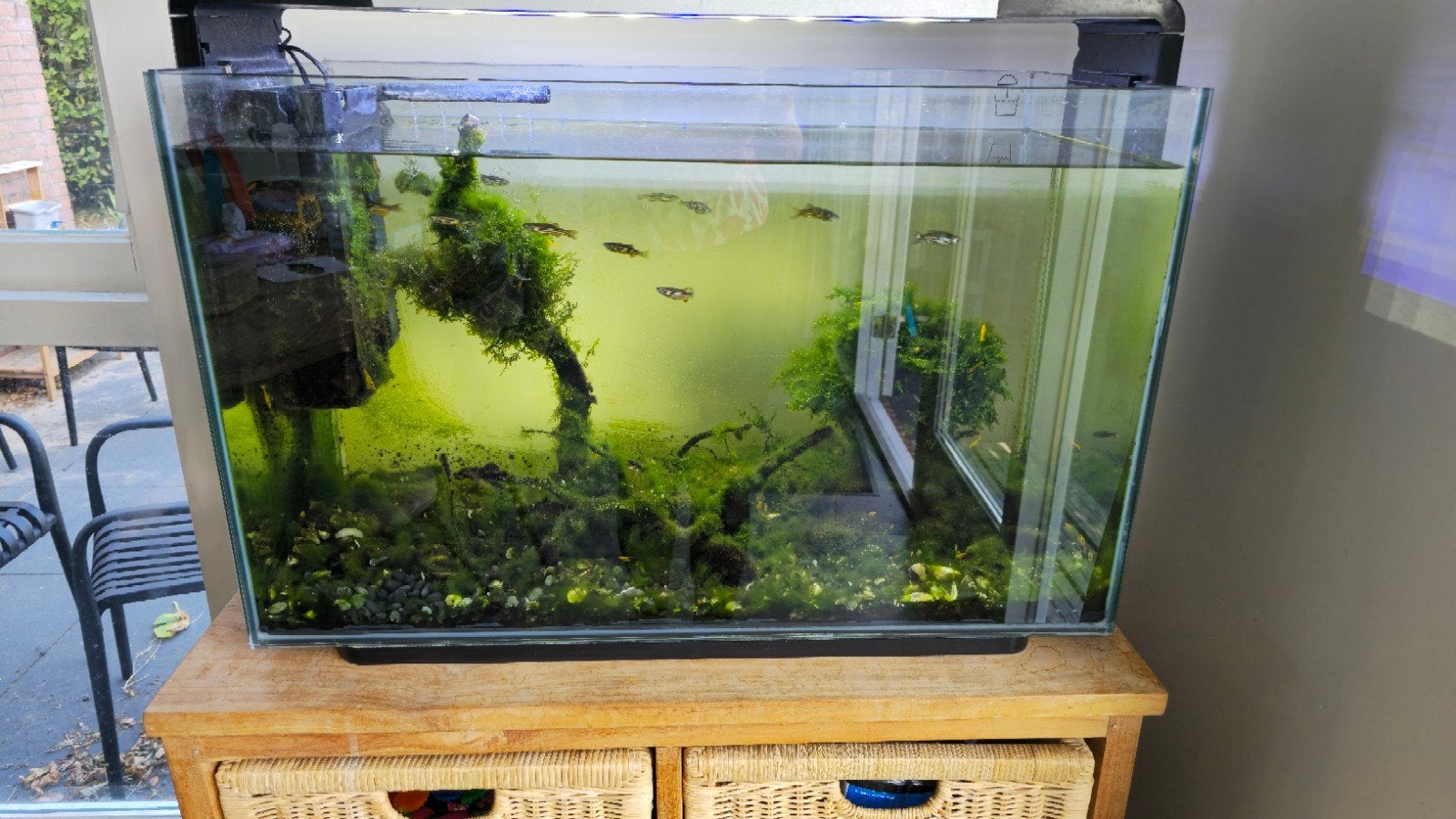 Superfish 110 liter, Dieren en Toebehoren, Vissen | Aquaria en Toebehoren, Ophalen, Gebruikt, Gevuld zoetwateraquarium, Superfish