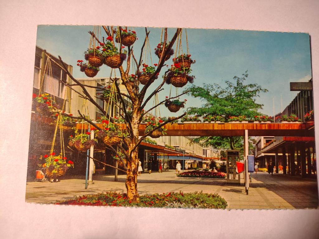 Rotterdam, Ophalen of Verzenden, 1940 tot 1960, Zuid-Holland