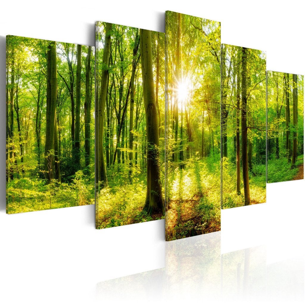 258 Natuur Bos Zonlicht 5 Luik Canvas Schilderij 200x100cm, Ophalen of Verzenden, Landschap