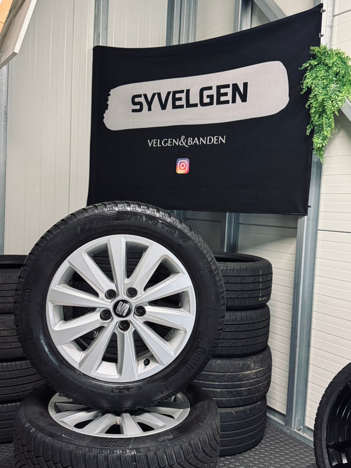 15" 5x100 Orig Seat Ibiza VW Polo Audi A1 Velgen - Winterset, Auto-onderdelen, Ophalen, Gebruikt, 15 inch, Banden en Velgen