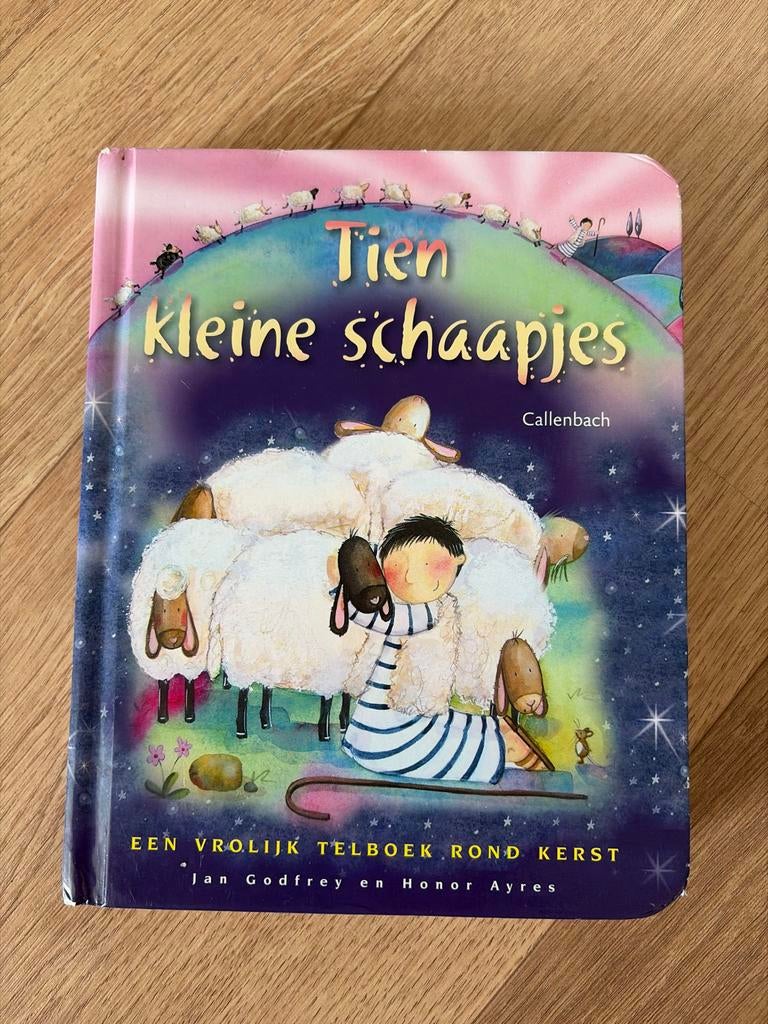 Tien kleine schaapjes - Een vrolijk telboek rond Kerst, Ophalen of Verzenden, Nieuw, 3 tot 4 jaar