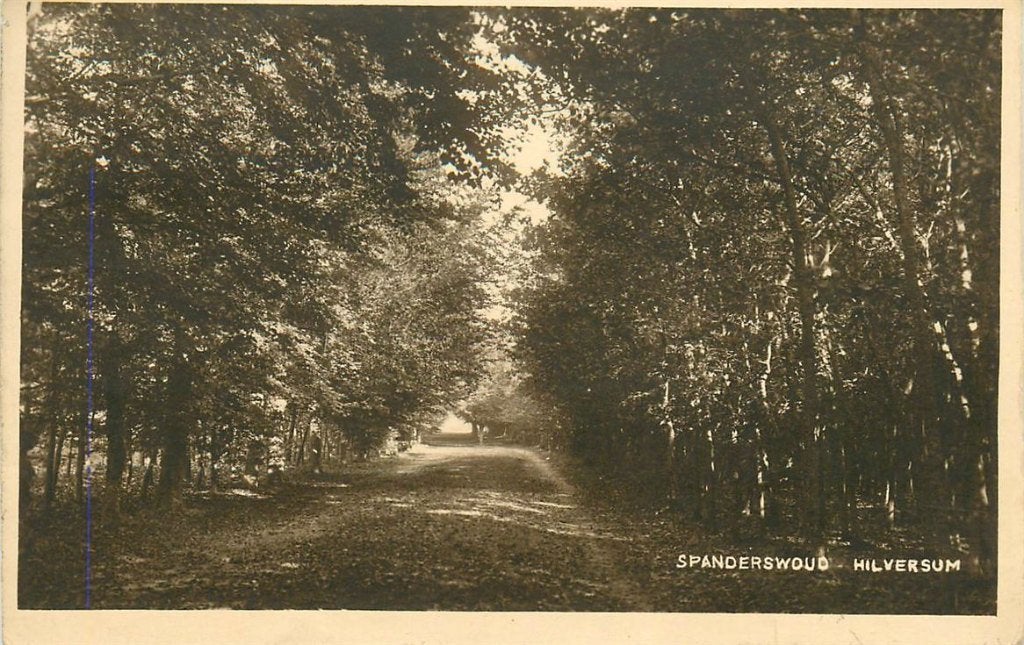 702-012-037 Hilversum Spanderswoud, Verzenden, Voor 1920, Noord-Holland
