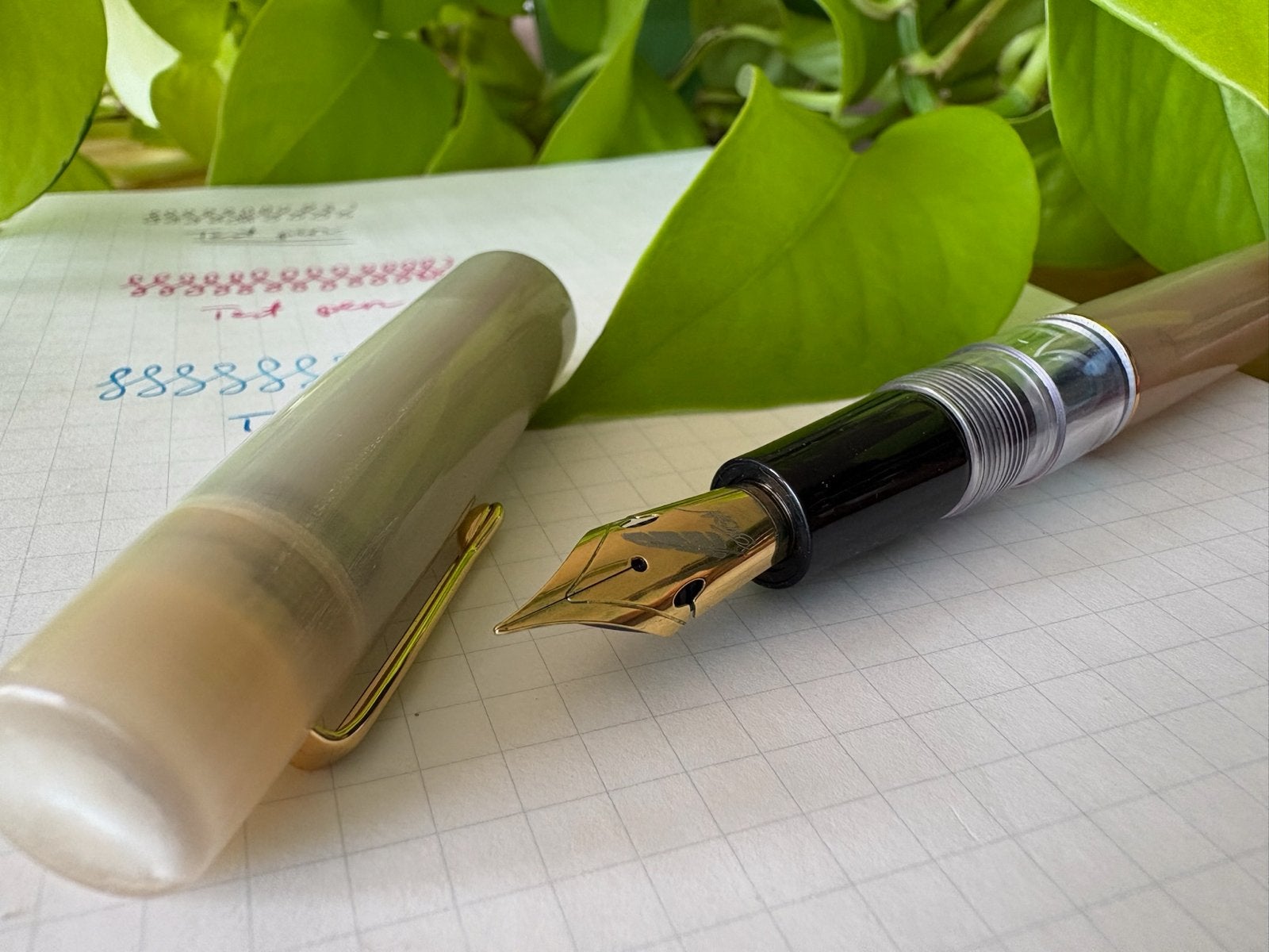 Fine Writing Int. Fenestro Fountain Pen - Buffalo Horn, Ophalen of Verzenden, Zo goed als nieuw
